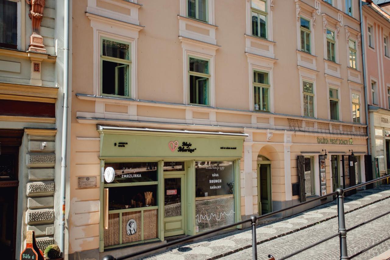 Priestranny Apartman Moja Marina V Srdci Stiavnice Banská Štiavnica Εξωτερικό φωτογραφία